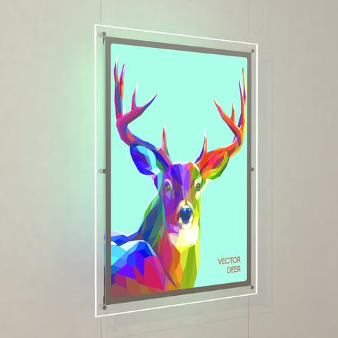 Led Acryl Schaufenster Display 2 x DIN A1 Hochformat - modularedisplays.com